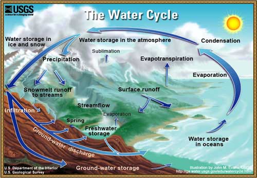 Drawing of water cycle. Shows how water evaporates from lakes, rivers, and soil, sublimates from ice and snow, and gets into air from plant transpiration. Water vapor condense to form clouds. Clouds move to different locations, where precipitation falls as rain or snow.