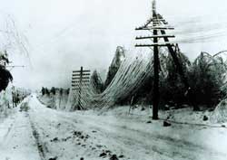Power and telephone cables weighed down by a recent ice storm.