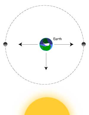 Neap tides occur when Moon's gravity pulls perpendicular to the Sun's gravity.